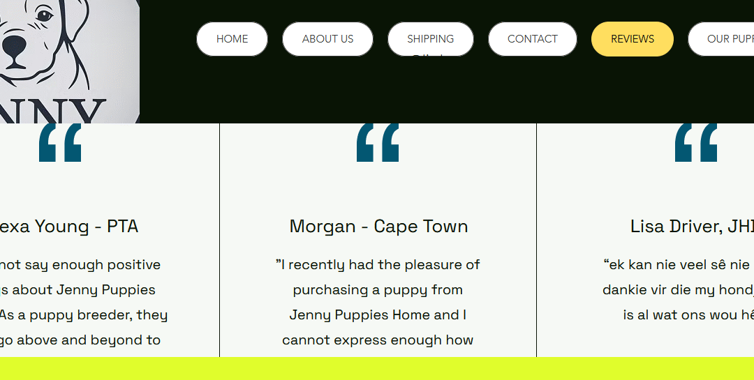 Scam Alert: jennypuppieshome.co.za is NOT a Real Boerboel Breeder